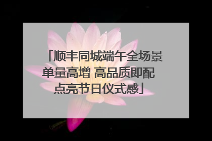 顺丰同城端午全场景单量高增 高品质即配点亮节日仪式感