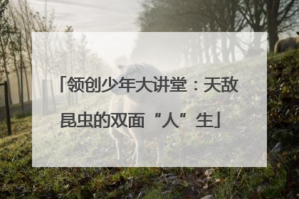 领创少年大讲堂：天敌昆虫的双面“人”生
