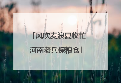 风吹麦浪夏收忙 河南老兵保粮仓