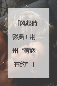 风起倩影摇！荆州“荷您有约”