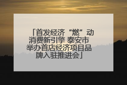 首发经济“燃”动消费新引擎 泰安市举办首店经济项目品牌入驻推进会