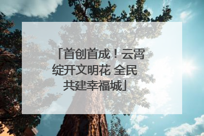 首创首成！云霄绽开文明花 全民共建幸福城