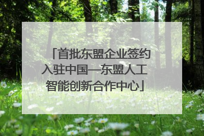 首批东盟企业签约入驻中国—东盟人工智能创新合作中心