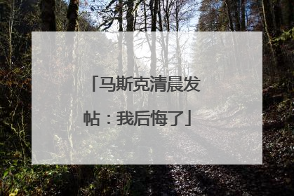 马斯克清晨发帖：我后悔了