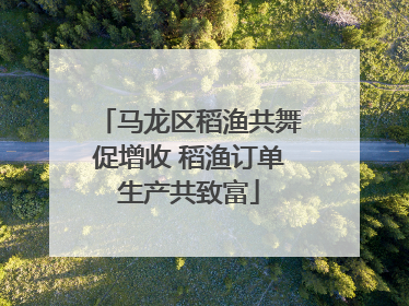 马龙区稻渔共舞促增收 稻渔订单生产共致富