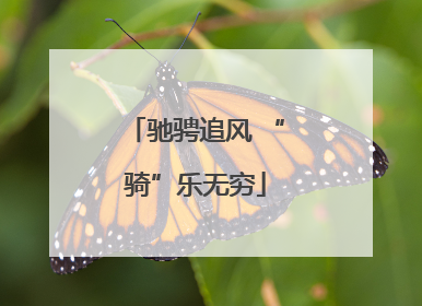 驰骋追风 “骑”乐无穷