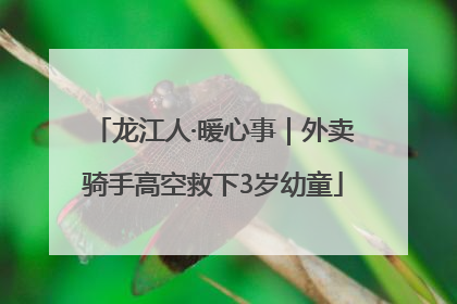 龙江人·暖心事｜外卖骑手高空救下3岁幼童