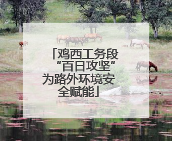 鸡西工务段“百日攻坚”为路外环境安全赋能