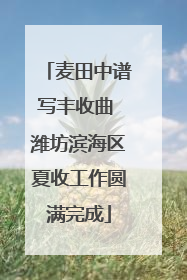麦田中谱写丰收曲 潍坊滨海区夏收工作圆满完成