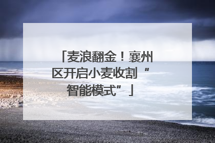 麦浪翻金！襄州区开启小麦收割“智能模式”