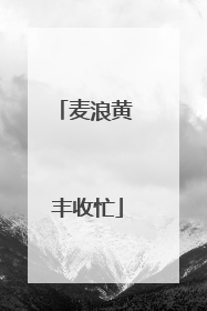 麦浪黄 丰收忙