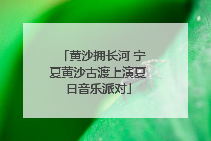 黄沙拥长河 宁夏黄沙古渡上演夏日音乐派对