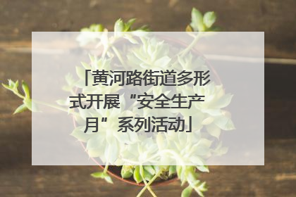 黄河路街道多形式开展“安全生产月”系列活动