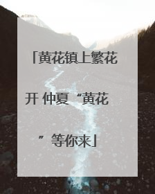 黄花镇上繁花开 仲夏“黄花”等你来