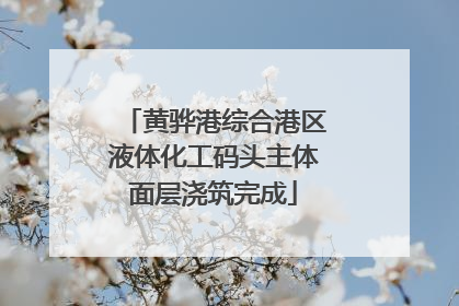 黄骅港综合港区液体化工码头主体面层浇筑完成