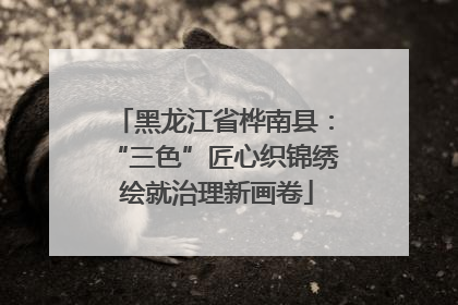 黑龙江省桦南县：“三色”匠心织锦绣 绘就治理新画卷