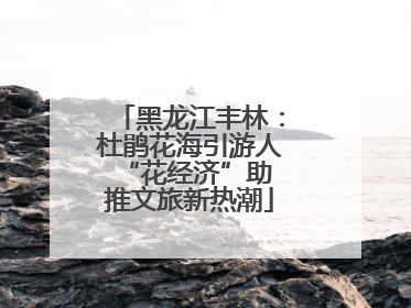 黑龙江丰林：杜鹃花海引游人 “花经济”助推文旅新热潮