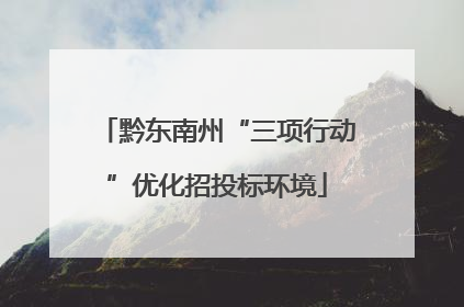 黔东南州“三项行动”优化招投标环境