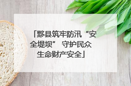 黟县筑牢防汛“安全堤坝” 守护民众生命财产安全