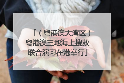 （粤港澳大湾区）粤港澳三地海上搜救联合演习在港举行