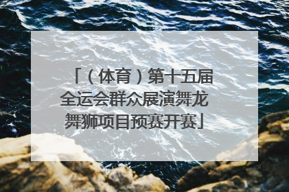（体育）第十五届全运会群众展演舞龙舞狮项目预赛开赛
