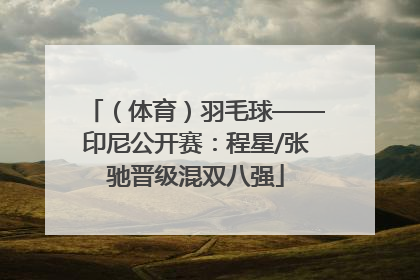 （体育）羽毛球——印尼公开赛：程星/张驰晋级混双八强