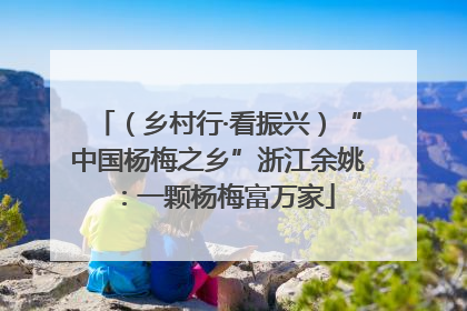 （乡村行·看振兴）“中国杨梅之乡”浙江余姚：一颗杨梅富万家