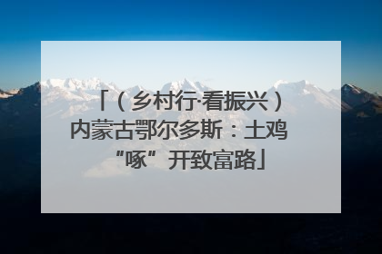 （乡村行·看振兴）内蒙古鄂尔多斯：土鸡“啄”开致富路