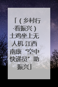 （乡村行·看振兴）土鸡坐上无人机 江西南康“空中快递员”助振兴