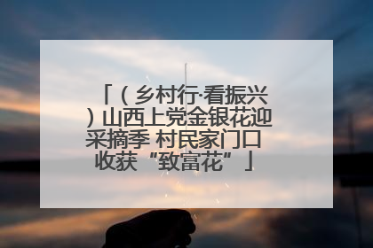 （乡村行·看振兴）山西上党金银花迎采摘季 村民家门口收获“致富花”