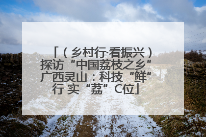 （乡村行·看振兴）探访“中国荔枝之乡”广西灵山：科技“鲜”行 实“荔”C位