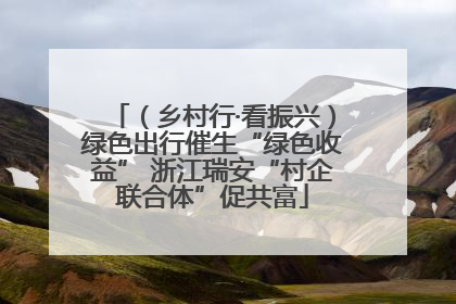 （乡村行·看振兴）绿色出行催生“绿色收益” 浙江瑞安“村企联合体”促共富