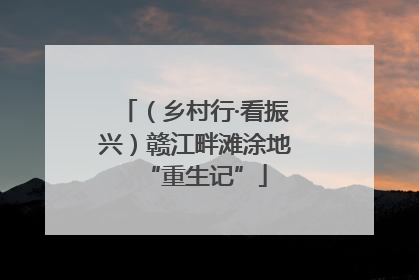 （乡村行·看振兴）赣江畔滩涂地“重生记”
