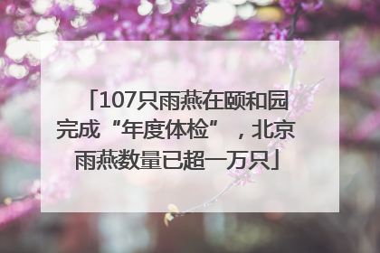 107只雨燕在颐和园完成“年度体检”，北京雨燕数量已超一万只