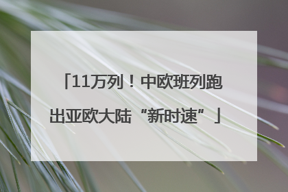 11万列！中欧班列跑出亚欧大陆“新时速”