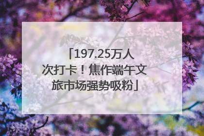 197.25万人次打卡！焦作端午文旅市场强势吸粉