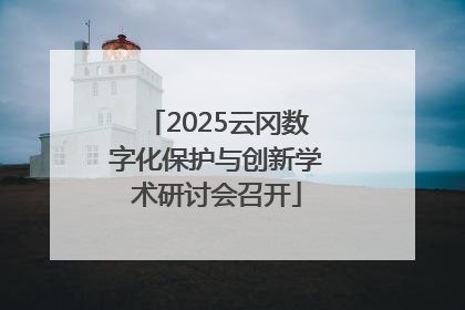 2025云冈数字化保护与创新学术研讨会召开
