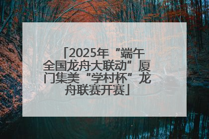 2025年“端午全国龙舟大联动”厦门集美“学村杯”龙舟联赛开赛