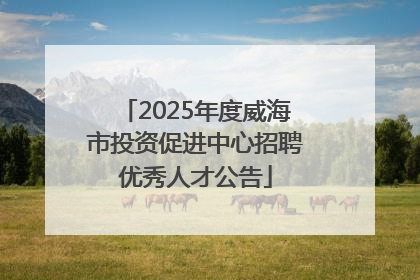 2025年度威海市投资促进中心招聘优秀人才公告