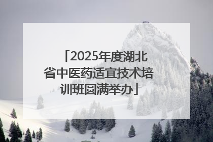 2025年度湖北省中医药适宜技术培训班圆满举办