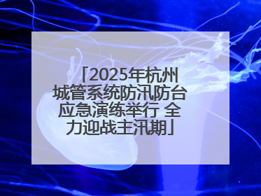 2025年杭州城管系统防汛防台应急演练举行 全力迎战主汛期