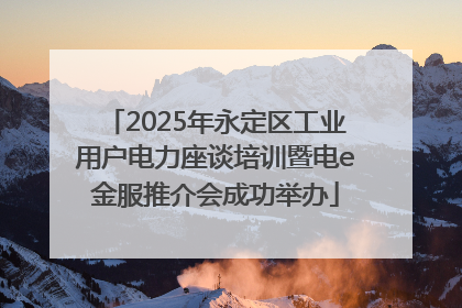 2025年永定区工业用户电力座谈培训暨电e金服推介会成功举办