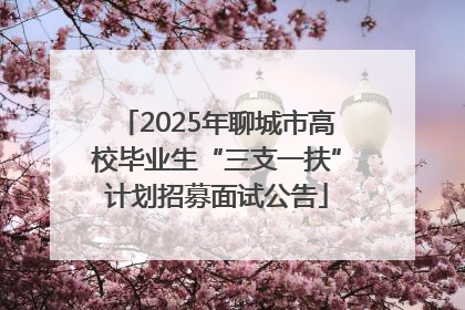 2025年聊城市高校毕业生“三支一扶”计划招募面试公告