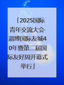 2025国际青年交流大会·淄博国际友城40年暨第二届国际友好周开幕式举行
