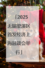 2025无锡梁溪区首发经济上海恳谈会举行