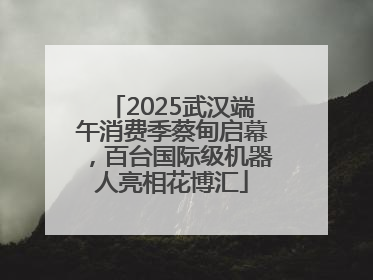 2025武汉端午消费季蔡甸启幕，百台国际级机器人亮相花博汇