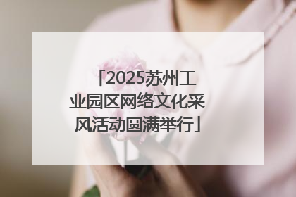 2025苏州工业园区网络文化采风活动圆满举行