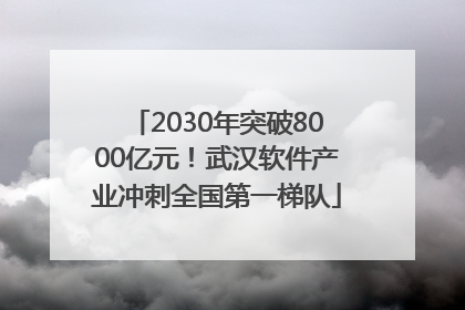 2030年突破8000亿元！武汉软件产业冲刺全国第一梯队