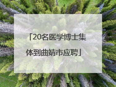 20名医学博士集体到曲靖市应聘