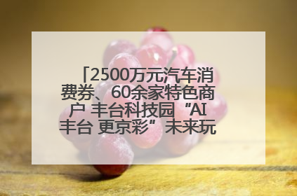 2500万元汽车消费券、60余家特色商户 丰台科技园“AI丰台 更京彩”未来玩家市集活动正式开幕